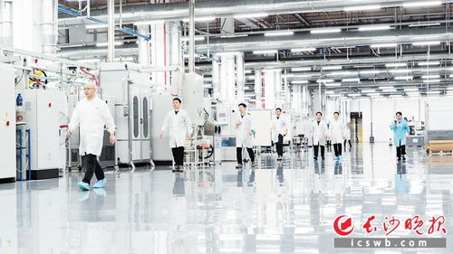 中國(guó)首臺(tái)800v高壓扁線膠粘定轉(zhuǎn)子產(chǎn)品 長(zhǎng)沙造